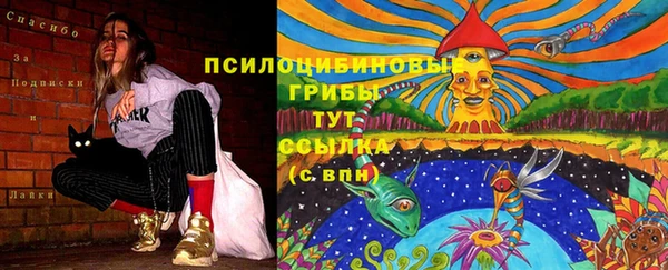 прущий лед Абаза