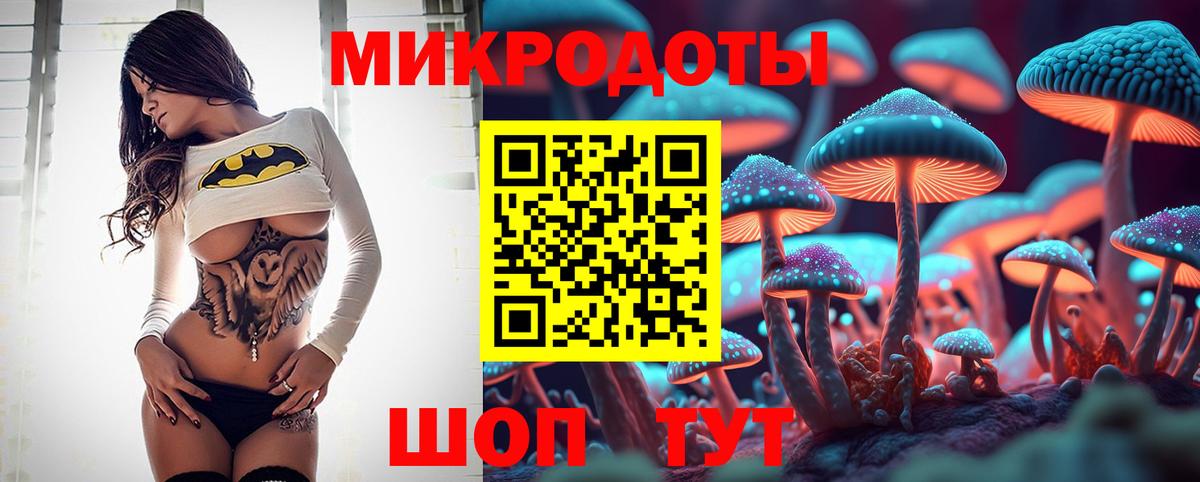 Галлюциногенные грибы Psilocybine cubensis Прокопьевск