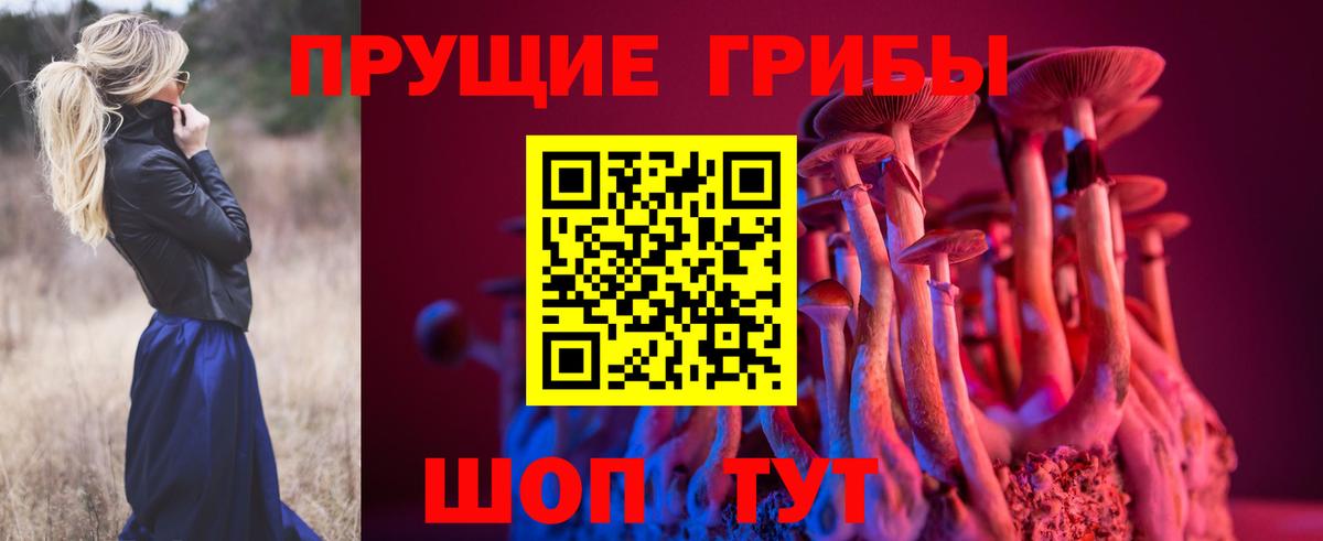 Прокопьевск  Галлюциногенные грибы мухоморы  Вход с VPN  купить  сайты  Псилоцибиновые грибы MAGIC MUSHROOMS 